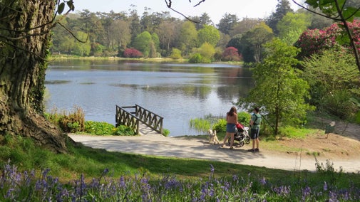 A view of the lake at Mount Stewart, featuring a family with a pushchair and dog, bluebells and spring trees, and a small jetty over the water